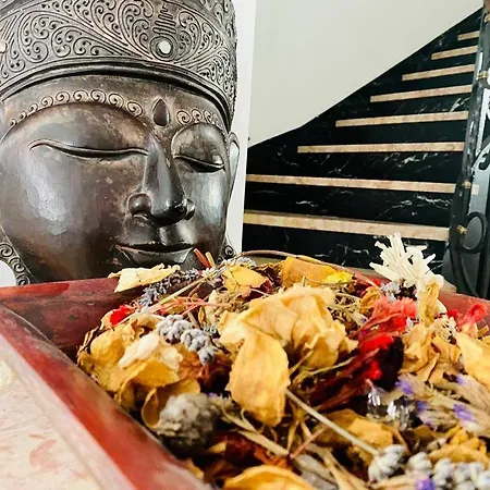 Martina Luxury 4* レッコ